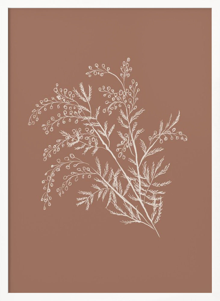 Acacia Botanical Branch - Poster / Art Print