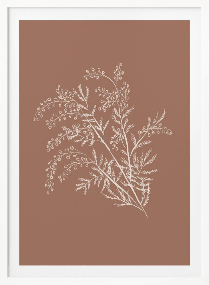Acacia Botanical Branch - Poster / Art Print