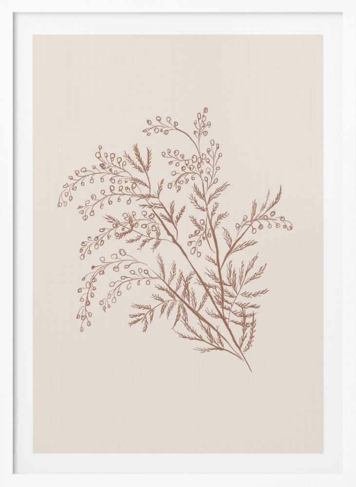 Acacia Botanical Branch - Poster / Art Print