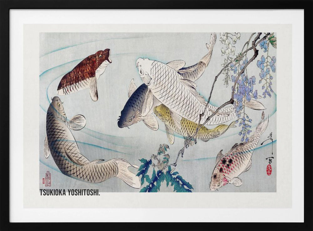 Six Carp Swimming Beneath Wisteria (1889) - Poster / Art Print