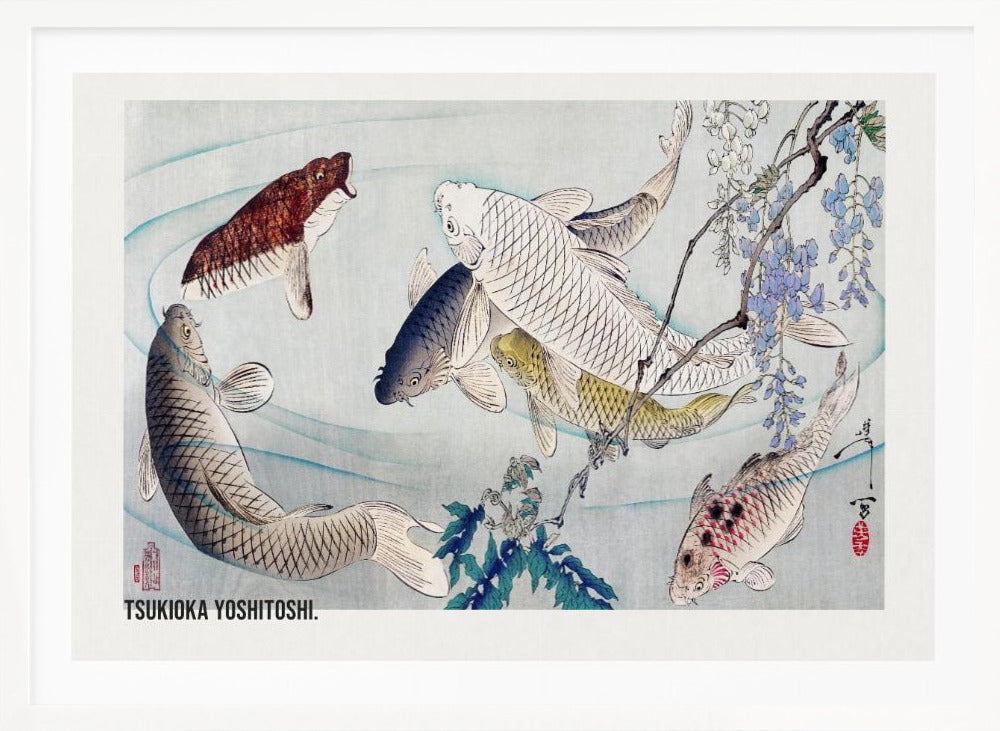 Six Carp Swimming Beneath Wisteria (1889) - Poster / Art Print