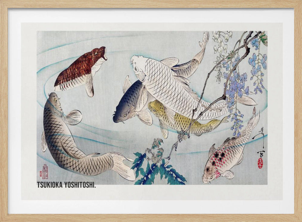 Six Carp Swimming Beneath Wisteria (1889) - Poster / Art Print