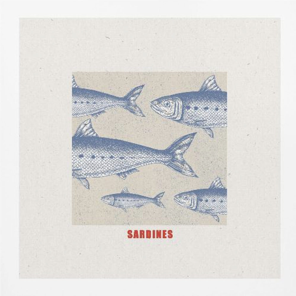 Sardines - Poster / Art Print