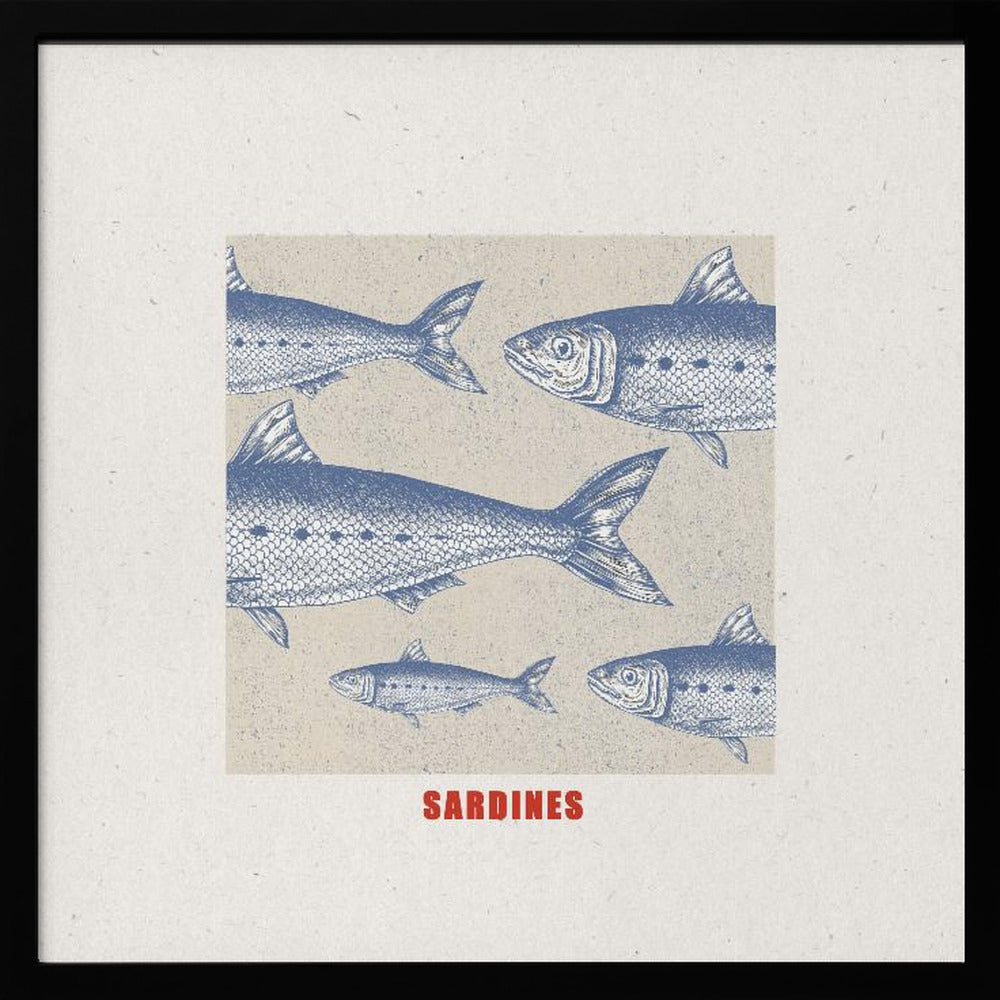 Sardines - Poster / Art Print