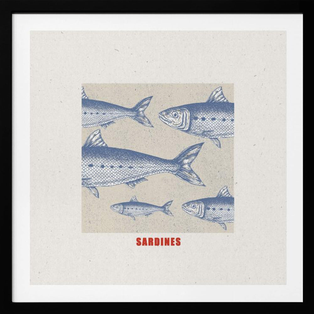 Sardines - Poster / Art Print