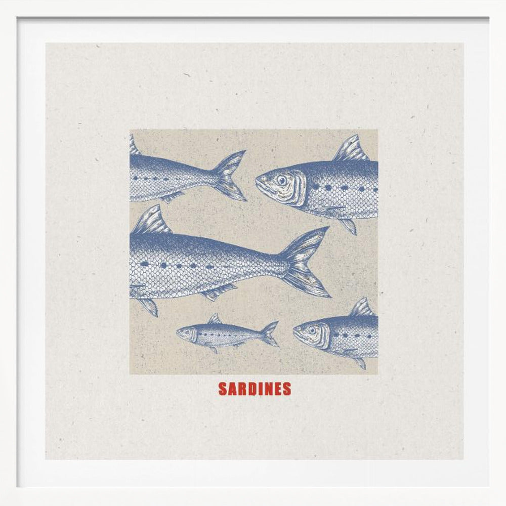 Sardines - Poster / Art Print