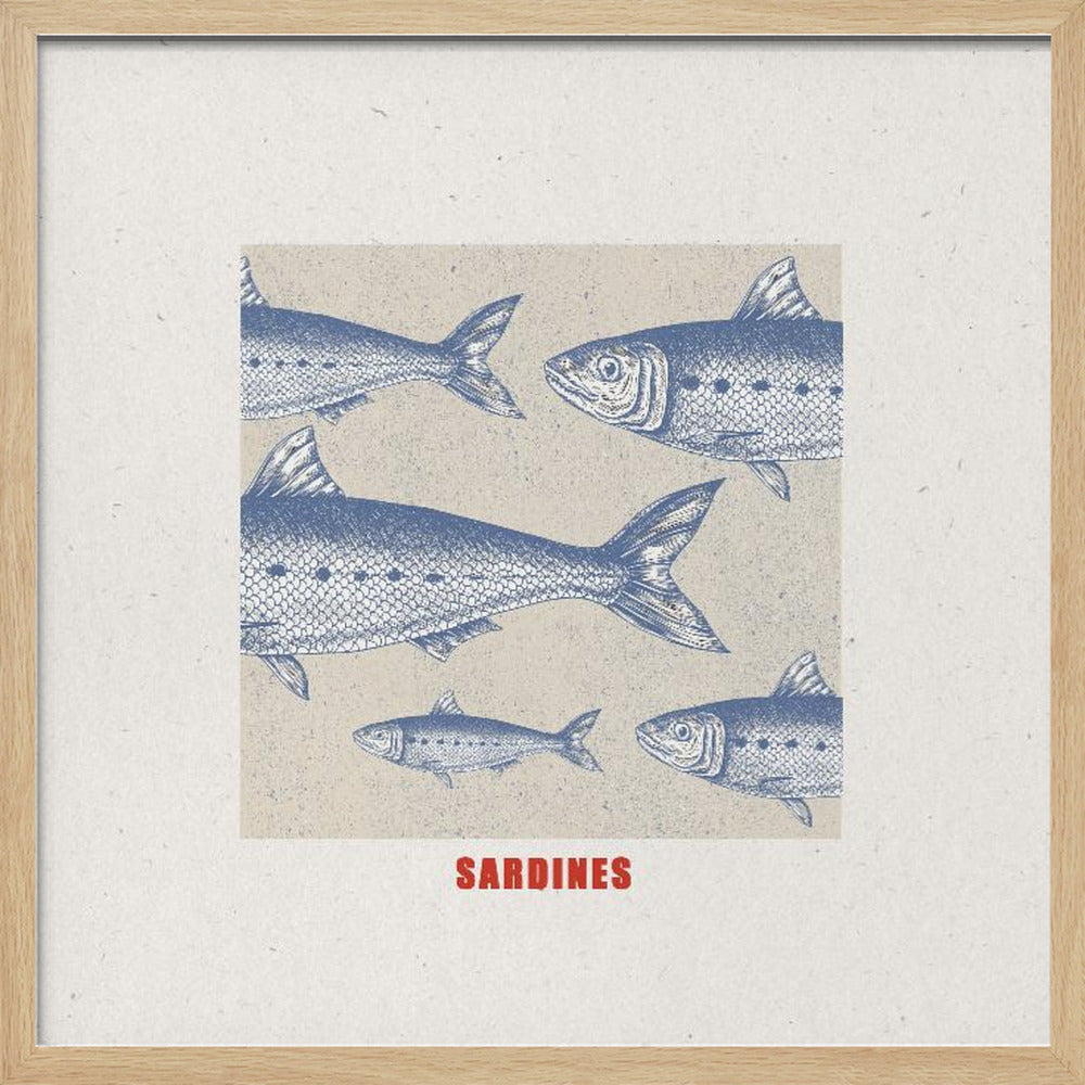 Sardines - Poster / Art Print