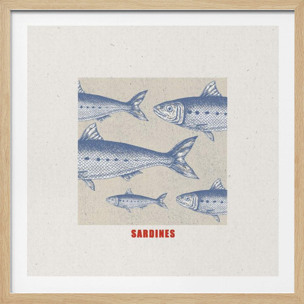 Sardines - Poster / Art Print