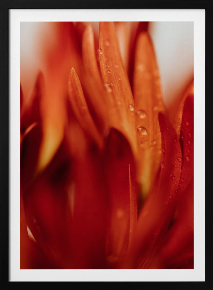 Red Flowers 03 - Poster / Art Print