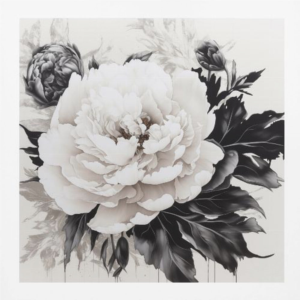 Peonies Sketch - Poster / Art Print