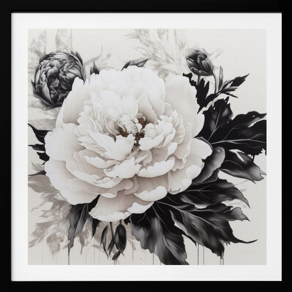 Peonies Sketch - Poster / Art Print