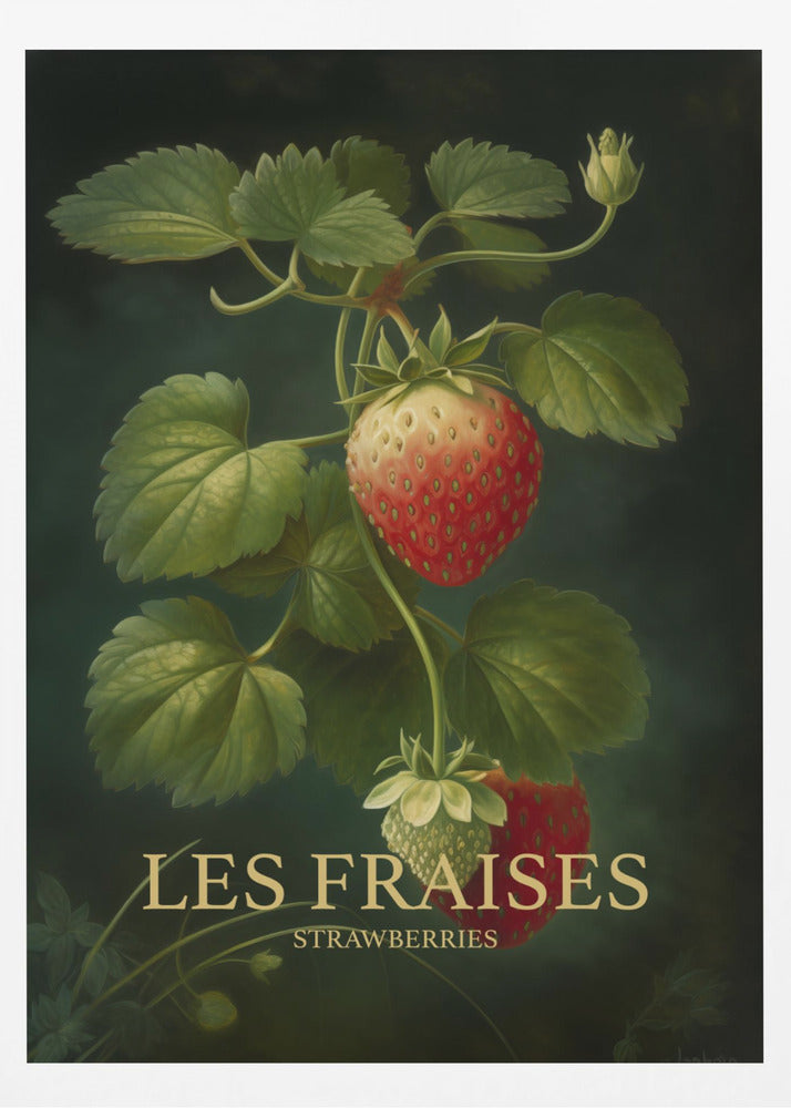 Les Fraises - Strawberries - Poster / Art Print