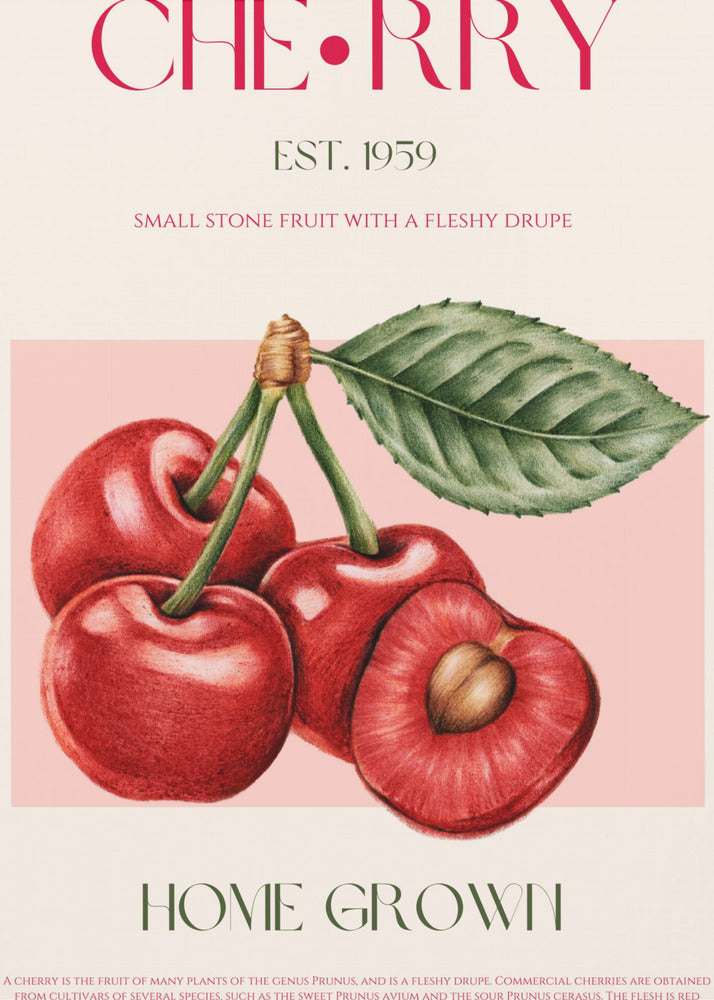 Cherry print - Poster / Art Print