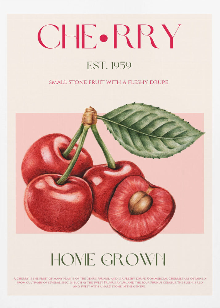 Cherry print - Poster / Art Print