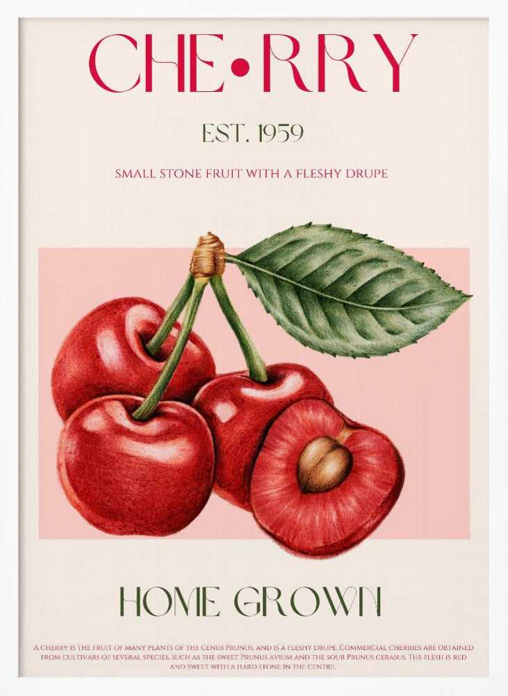 Cherry print - Poster / Art Print