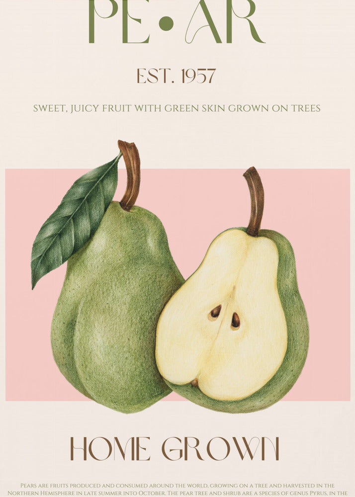 Pear print - Poster / Art Print