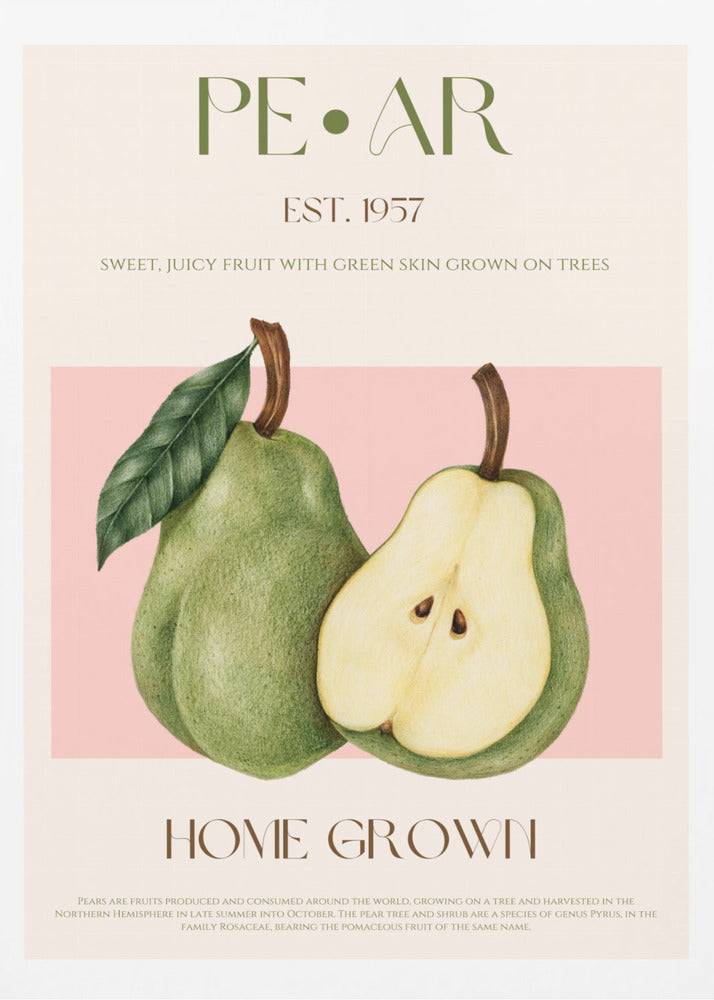 Pear print - Poster / Art Print