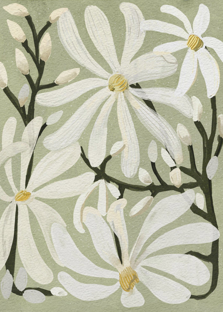Star Magnolia Florals on Sage background - Poster / Art Print