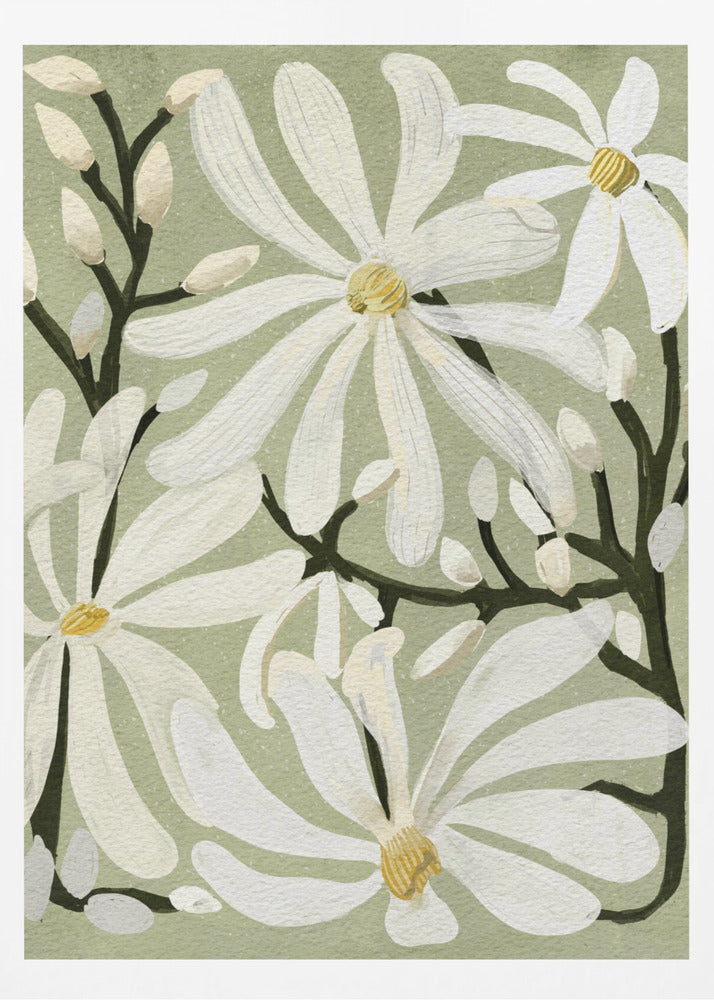 Star Magnolia Florals on Sage background - Poster / Art Print