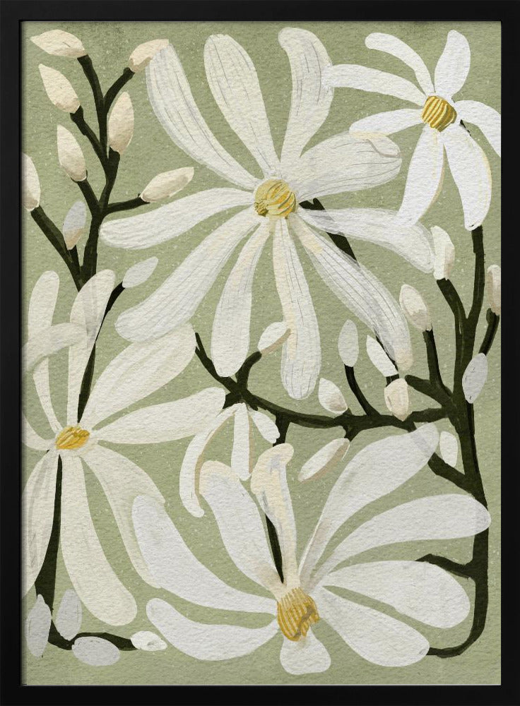 Star Magnolia Florals on Sage background - Poster / Art Print