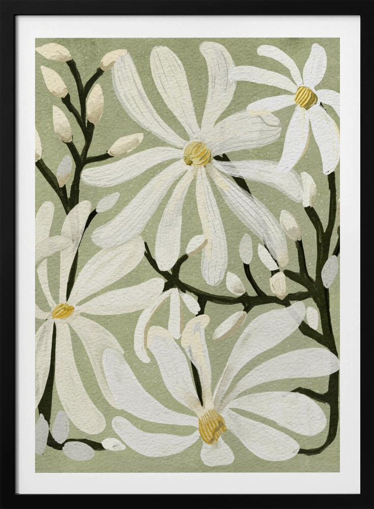 Star Magnolia Florals on Sage background - Poster / Art Print