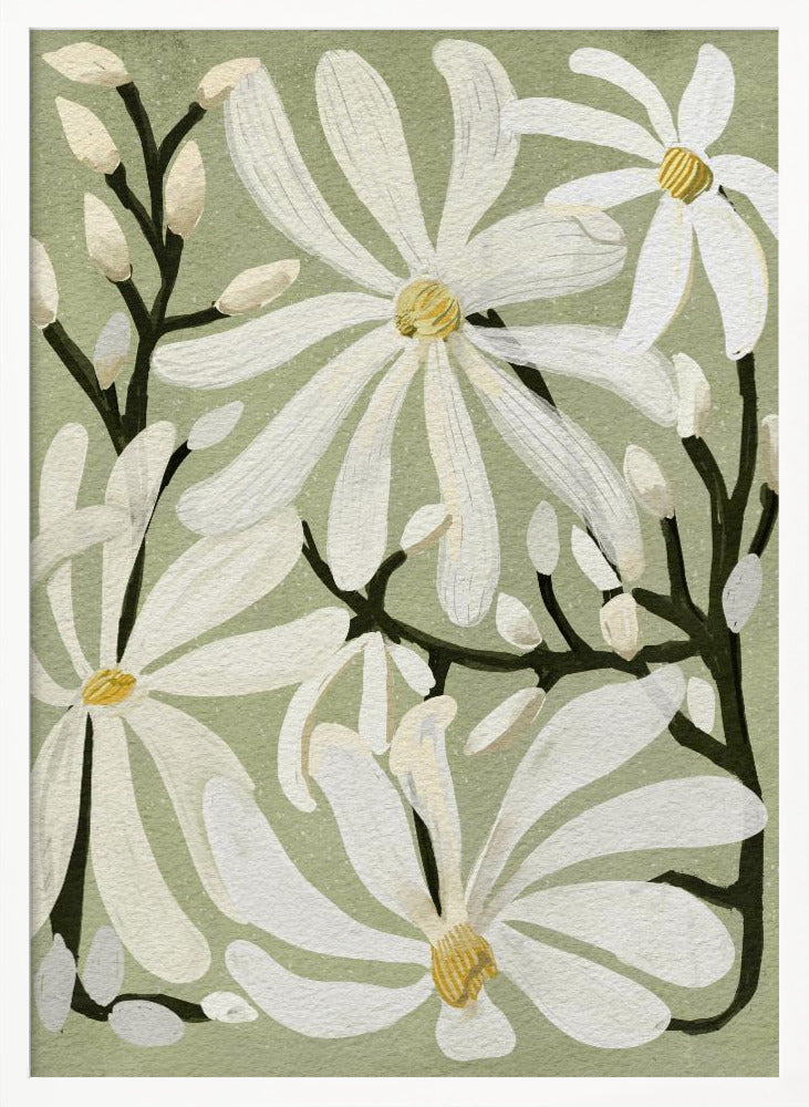 Star Magnolia Florals on Sage background - Poster / Art Print