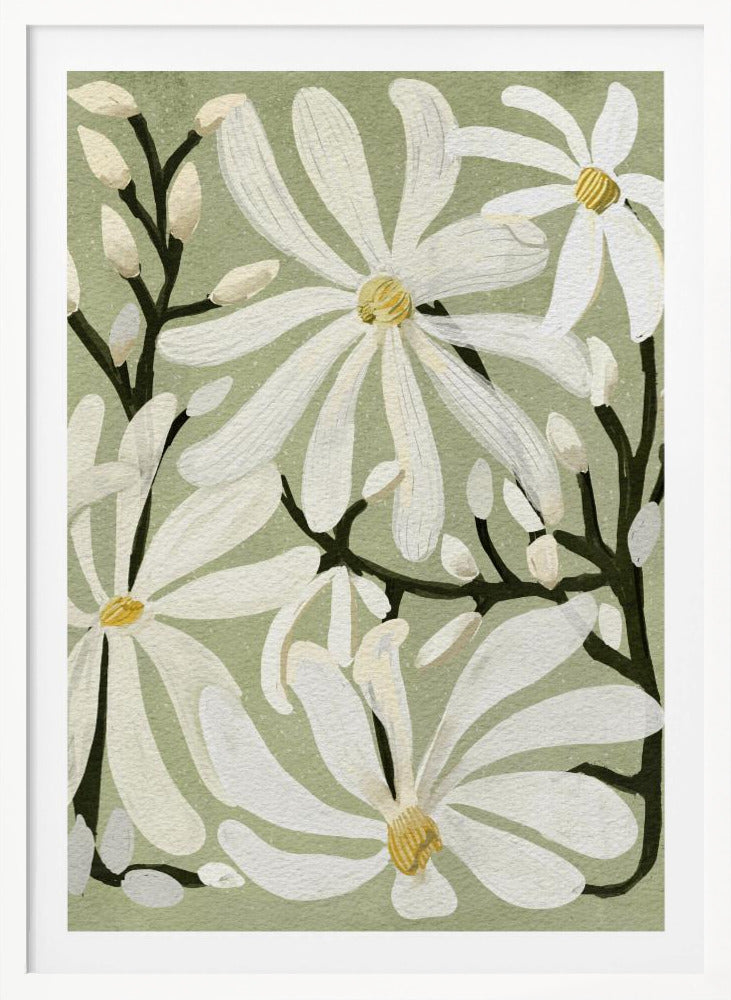Star Magnolia Florals on Sage background - Poster / Art Print