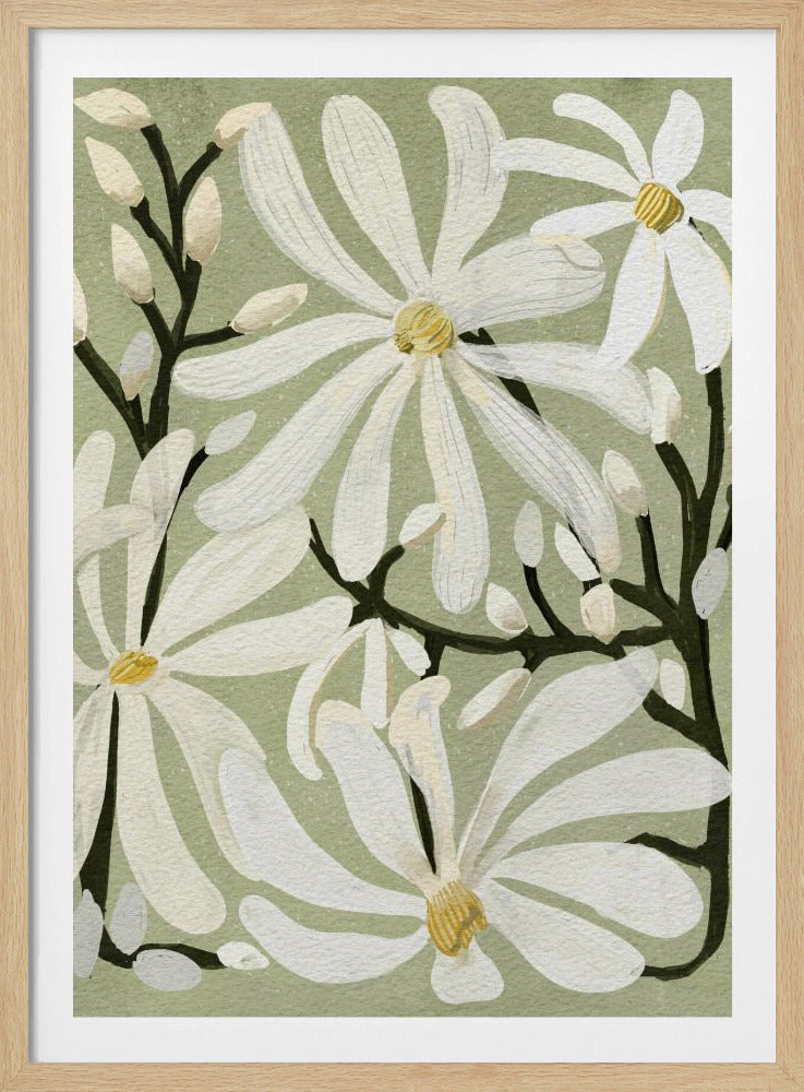 Star Magnolia Florals on Sage background - Poster / Art Print