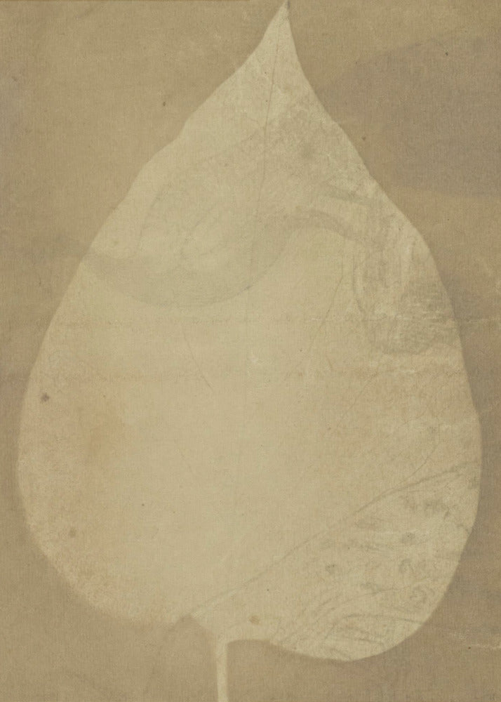 A Single Leaf 1843 - Poster / Art Print