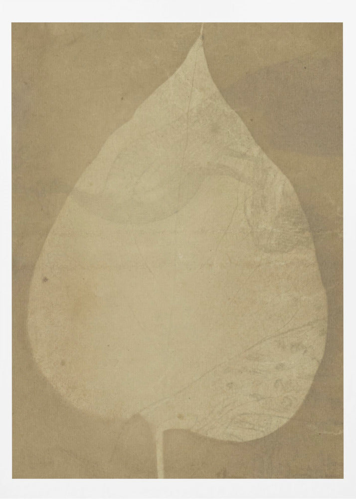 A Single Leaf 1843 - Poster / Art Print