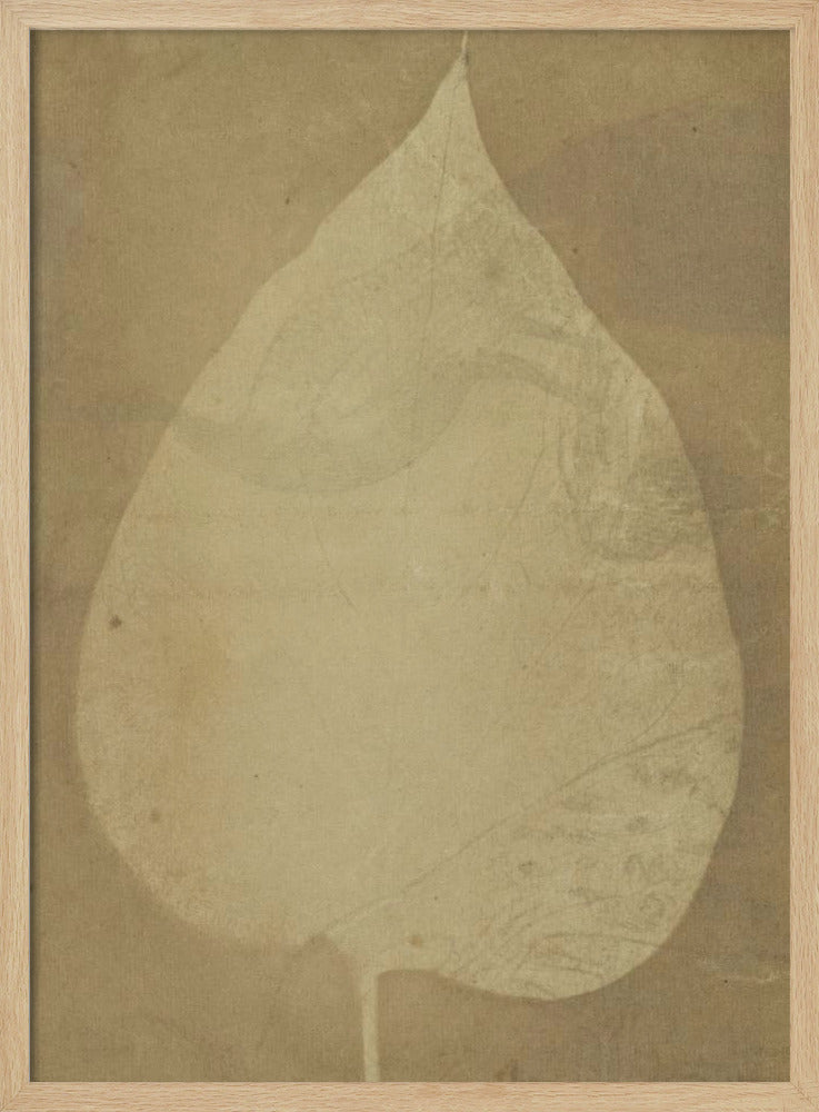 A Single Leaf 1843 - Poster / Art Print