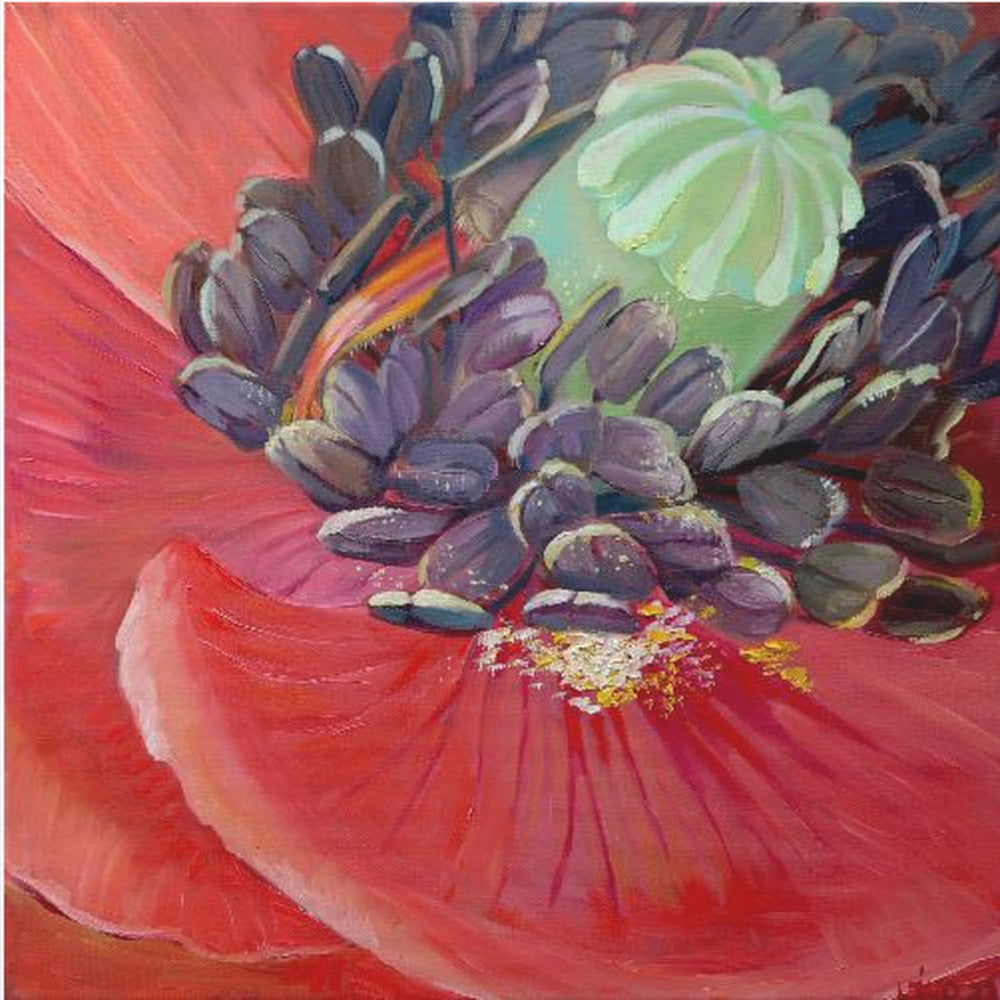 Honey Bee In Poppy Flower - Poster / Art Print