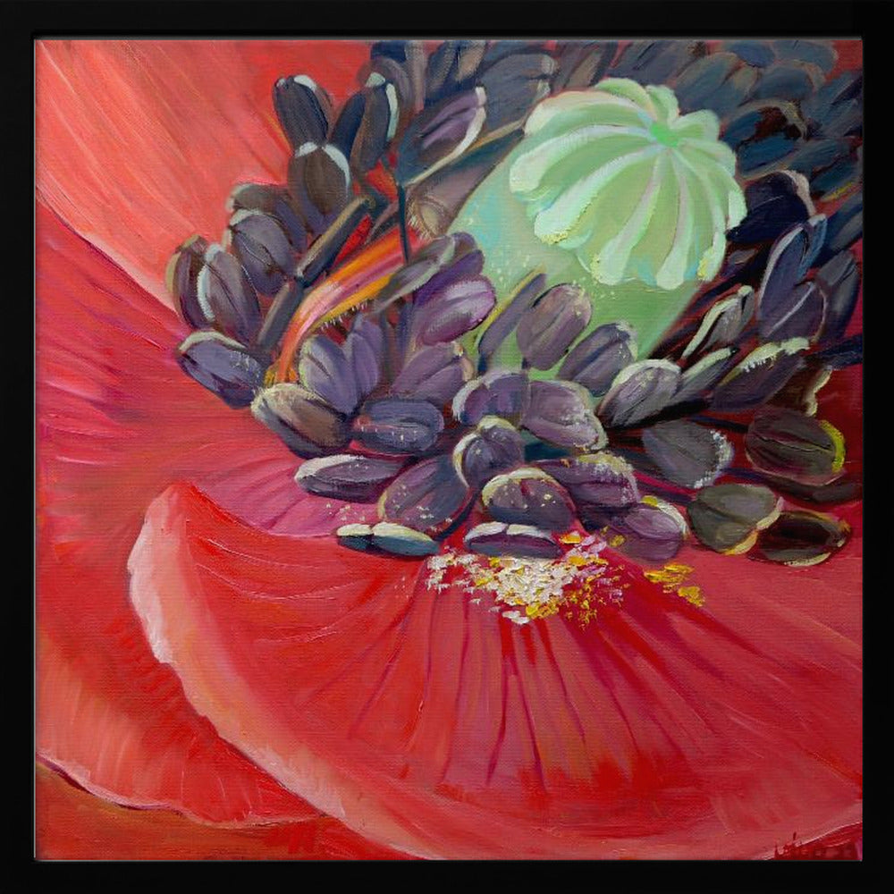 Honey Bee In Poppy Flower - Poster / Art Print