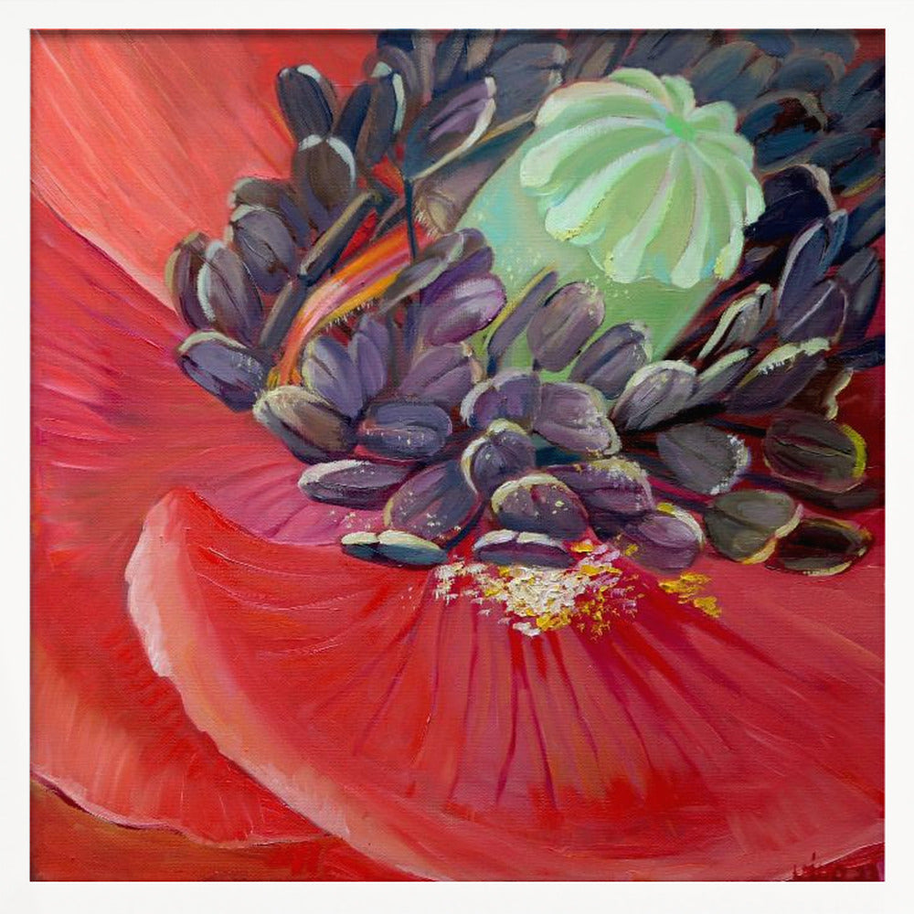 Honey Bee In Poppy Flower - Poster / Art Print