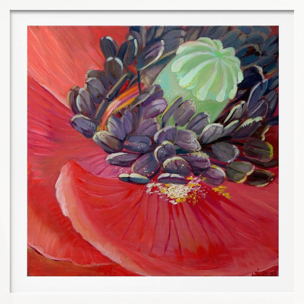 Honey Bee In Poppy Flower - Poster / Art Print