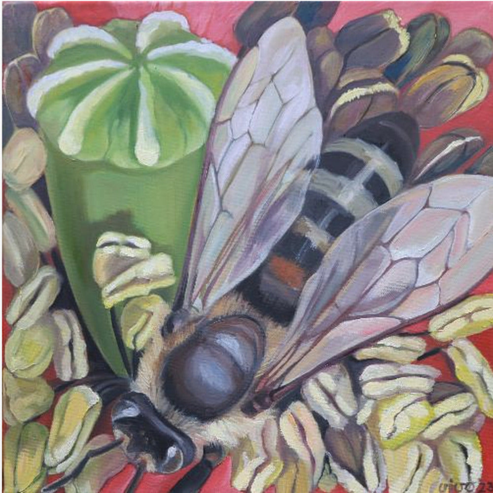 Hornet Hoverfly On Poppies - Poster / Art Print