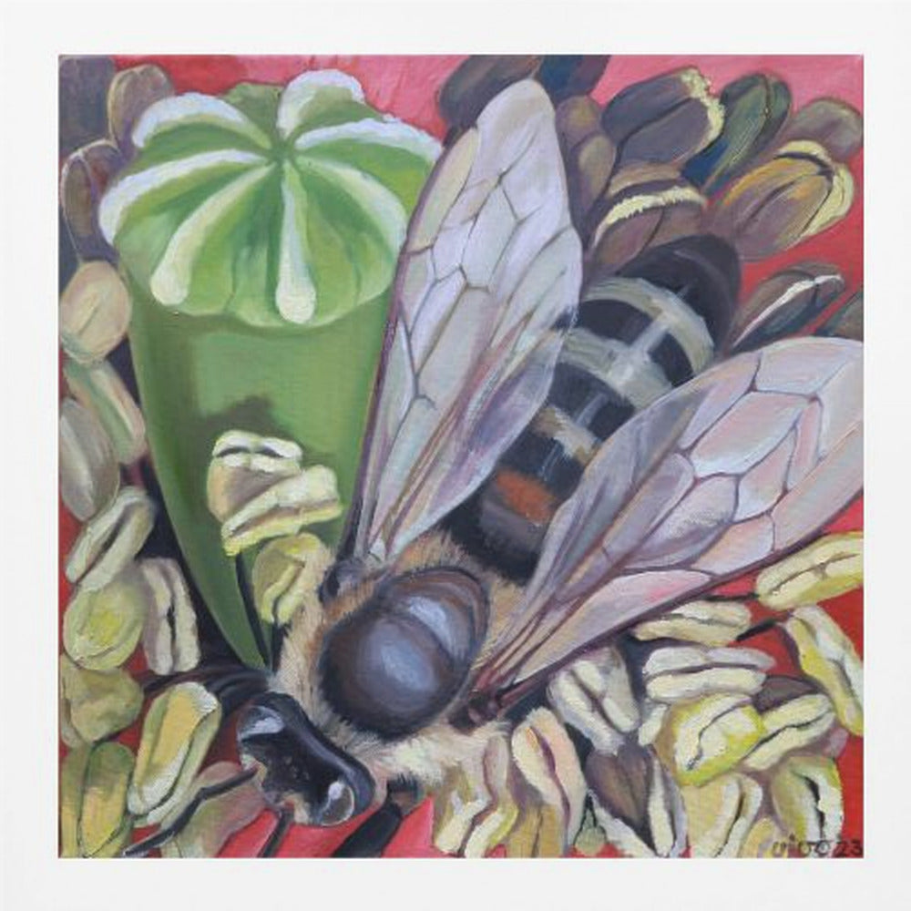 Hornet Hoverfly On Poppies - Poster / Art Print