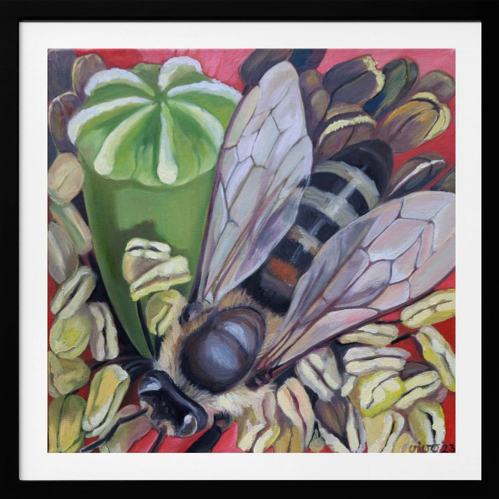 Hornet Hoverfly On Poppies - Poster / Art Print