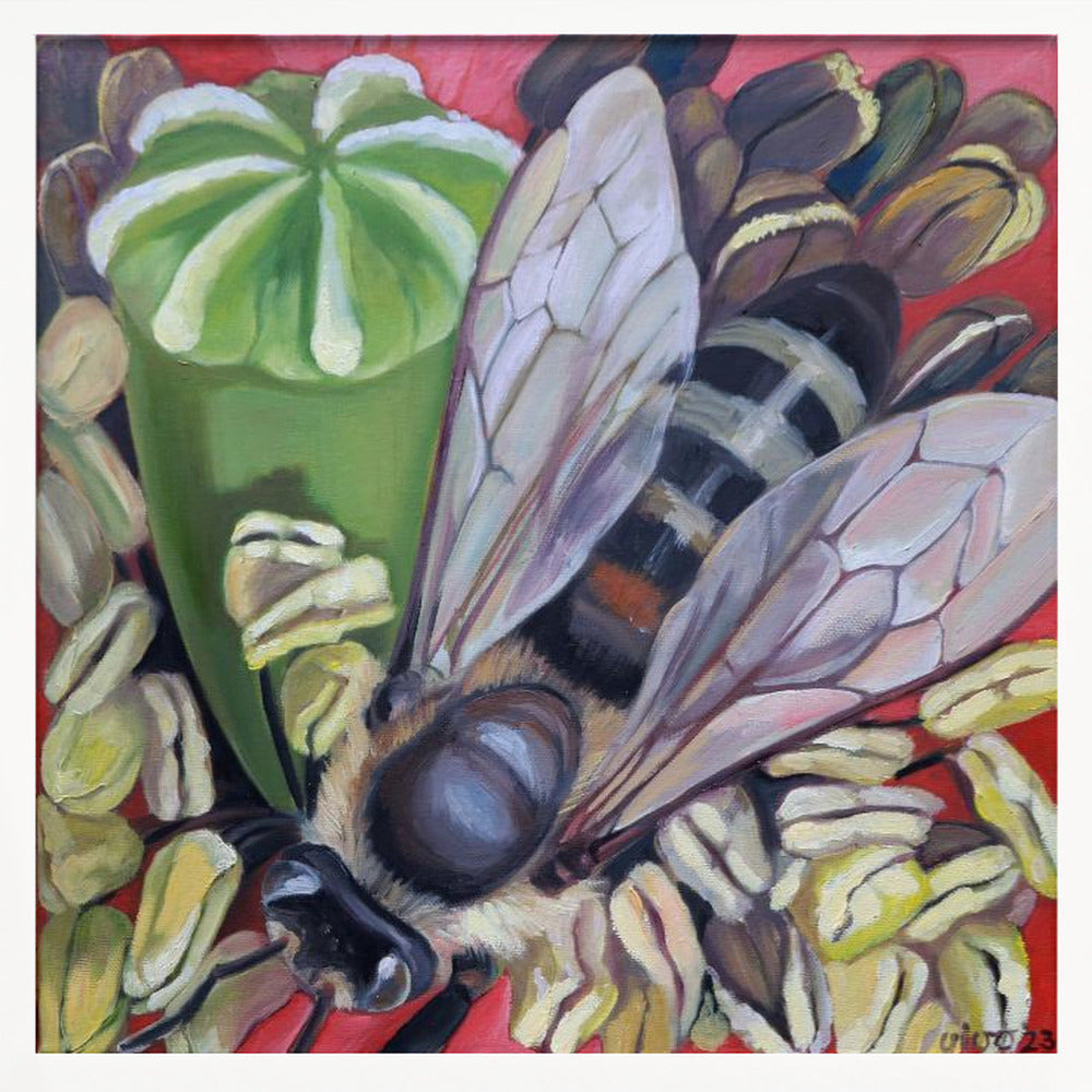 Hornet Hoverfly On Poppies - Poster / Art Print