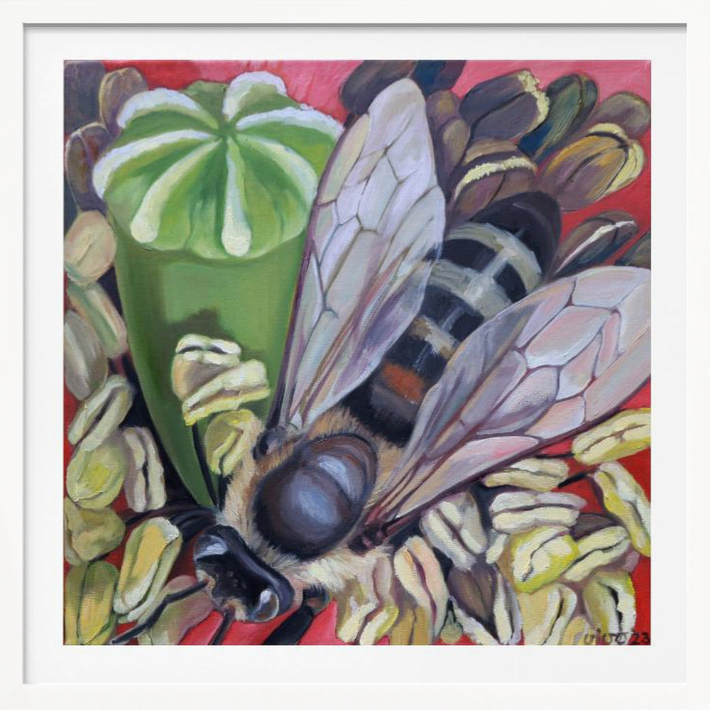 Hornet Hoverfly On Poppies - Poster / Art Print