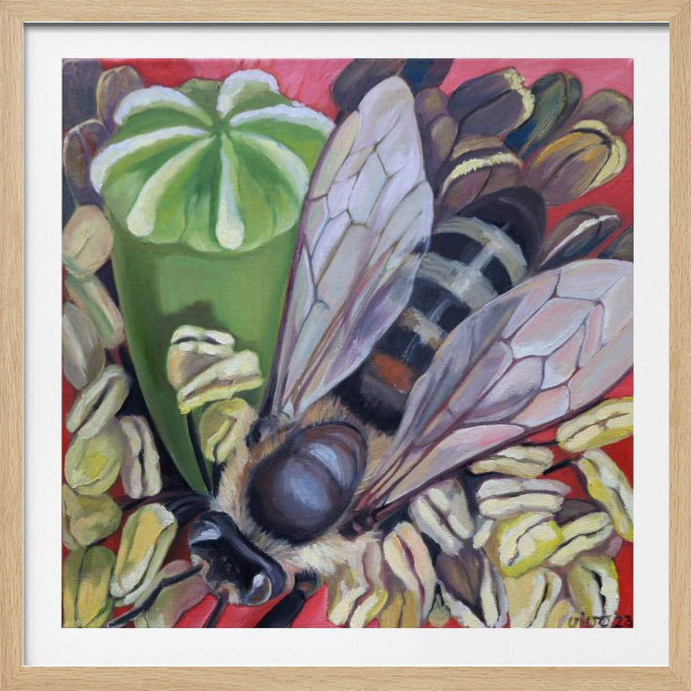 Hornet Hoverfly On Poppies - Poster / Art Print