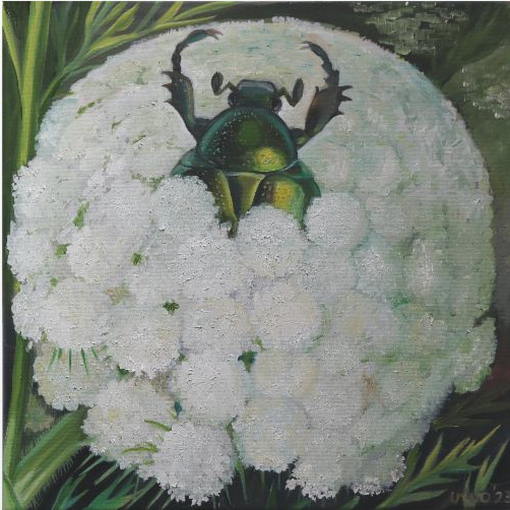 Rose Beetle and Wild Carrot - Poster / Art Print