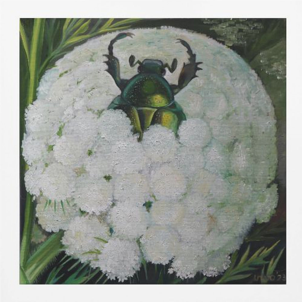 Rose Beetle and Wild Carrot - Poster / Art Print