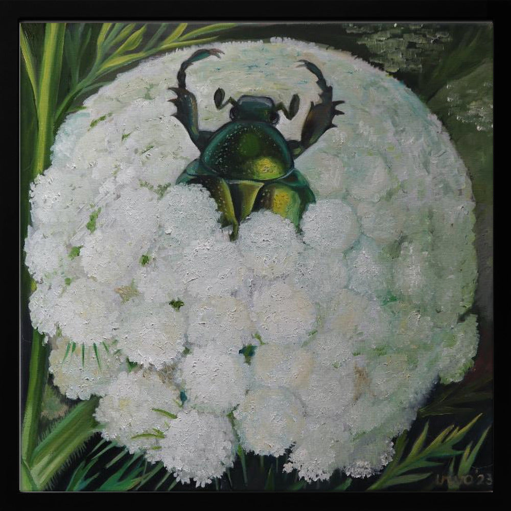 Rose Beetle and Wild Carrot - Poster / Art Print