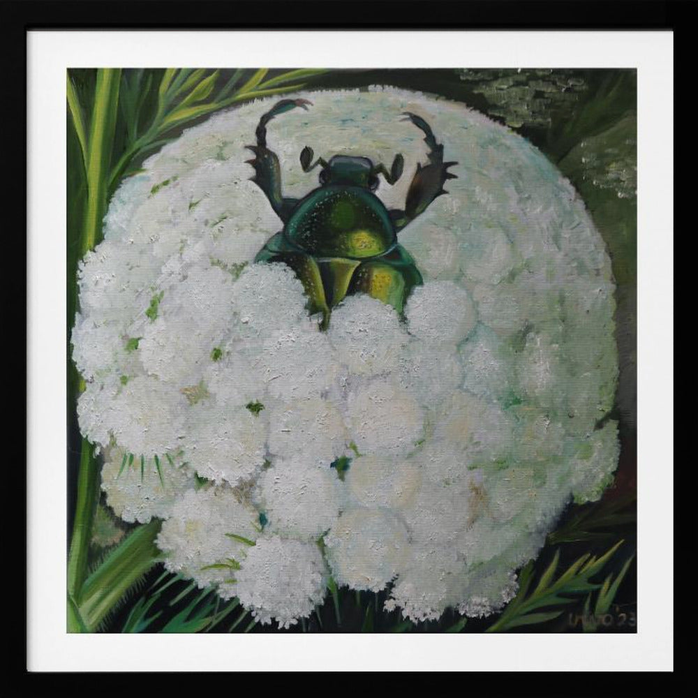 Rose Beetle and Wild Carrot - Poster / Art Print