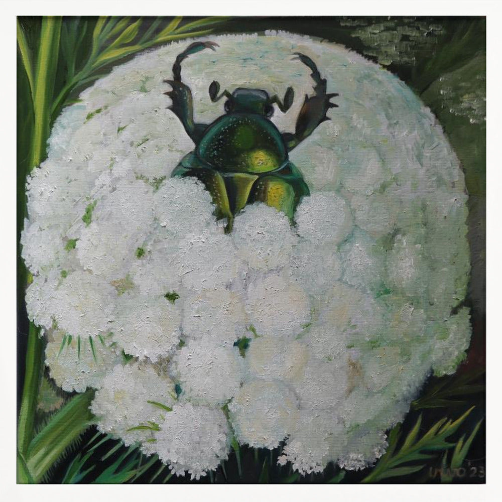 Rose Beetle and Wild Carrot - Poster / Art Print