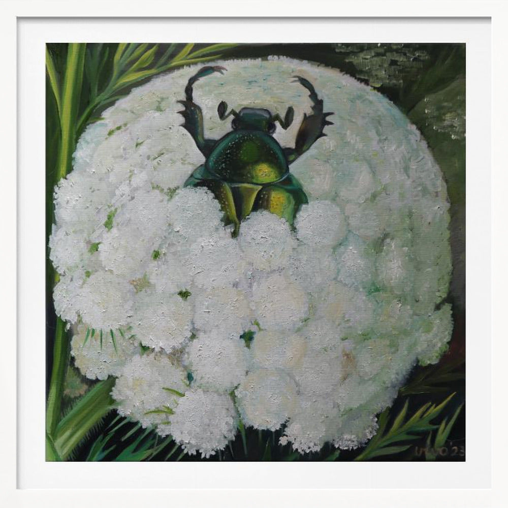 Rose Beetle and Wild Carrot - Poster / Art Print