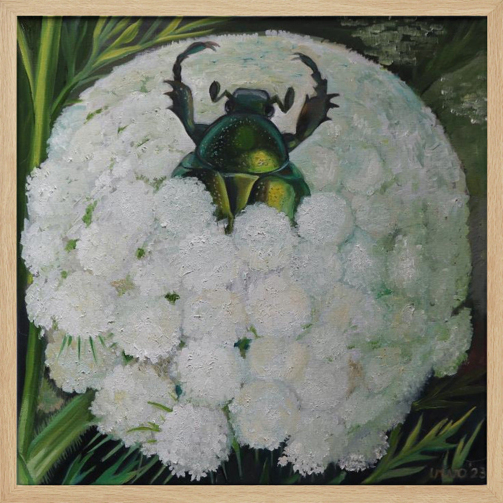 Rose Beetle and Wild Carrot - Poster / Art Print