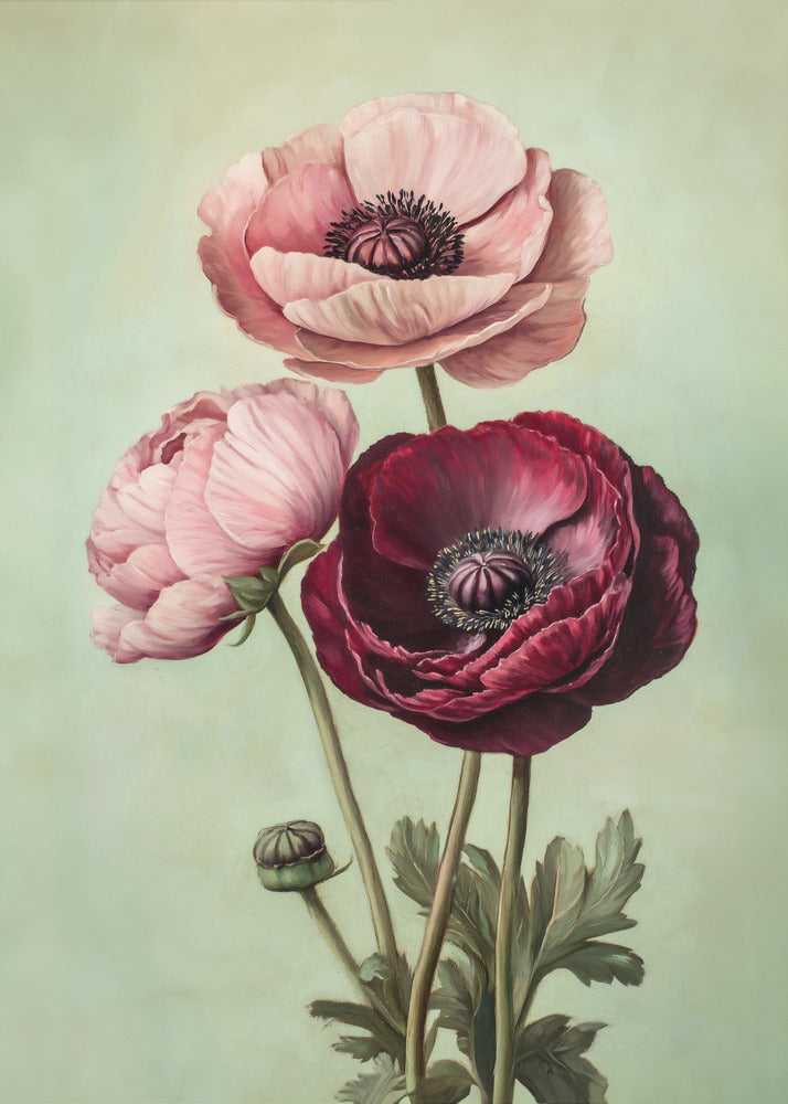 Peonies - Poster / Art Print