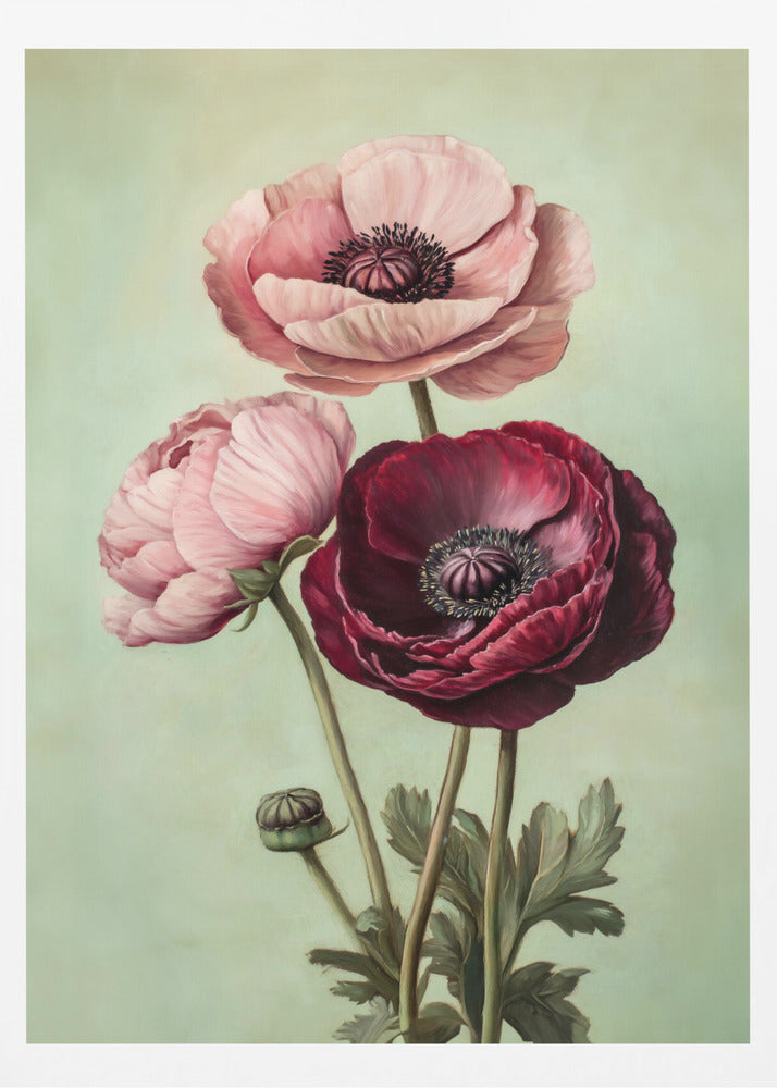 Peonies - Poster / Art Print